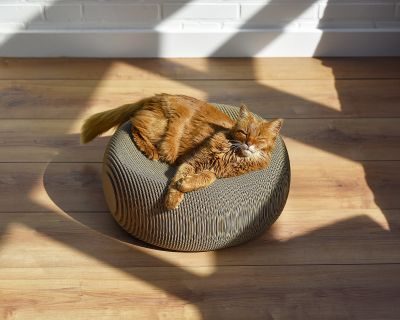 Thumbnail 4: cat-on LE PLOUFF Katzenkorb – rundes Design-Kratzmöbel