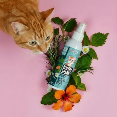 Thumbnail 3: Tierliebhaber Dentalspray für Katzen - Gesunde Zähne & frischer Atem. Mit probiotischen Mikroorganismen gegen Zahnbelag