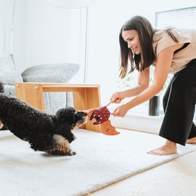 Thumbnail 3: HUNTER Hundespielzeug Rio Feldmaus mit Tau 25 cm