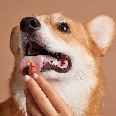 Thumbnail 2: Sollis Ente & Süßkartoffel Nuggets