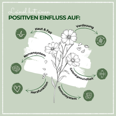 Thumbnail 5: LaPura PetVet - LaPura Leinöl für Hunde, Katzen und Pferde - Nahrungsergänzung - Futterergänzung - BARF-Zusatz