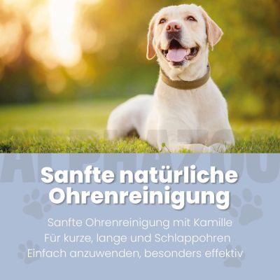 Thumbnail 2: ALPHAZOO Lauscher-Auf Ohrenreiniger für Hunde