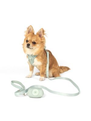 Thumbnail 3: SimplePets Alltagsheld-Geschirr in Pastel Mint