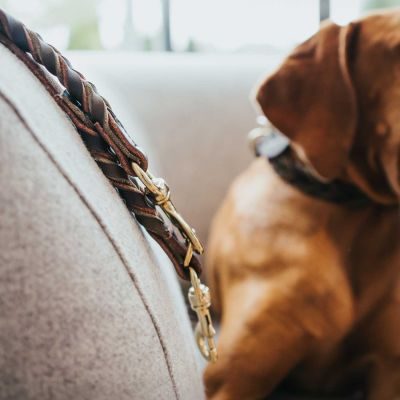 Thumbnail 9: HUNTER Verstellbare Führleine Solid Education Duo 20/200, dunkelbraun/oliv