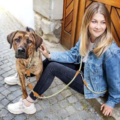 Thumbnail 4: Rudelkönig Hundeleine Emma 2,25m mit Leder, Elegante Führleine für große Hunde