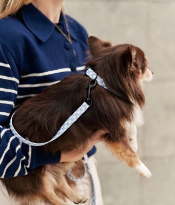 Thumbnail 2: CAFIDE Recyceltes PET-Halsband, Juno