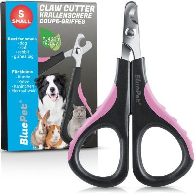 BluePet Krallenschere Mini für Katzen, Welpen, kleine Hunde, Kaninchen & Kleintiere, kleiner Krallenschneider, Nagelschere, Krallenpflege