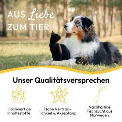 Thumbnail 6: PHA PetVet - PHA Lachsöl für Hunde, Katzen und Pferde - Nahrungsergänzung - Futterergänzung