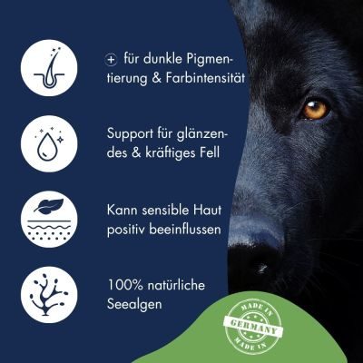 Thumbnail 6: Dr.Clauder’s Pigment Aktiv Algosan 400g