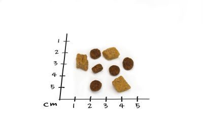 Thumbnail 3: NutriQM Tastyness² Lachs 6 x 500g