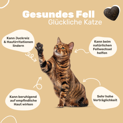Thumbnail 3: Patsli Fördert Hautgesundheit und ein glänzendes Fell. Entwickelt zur Unterstützung des natürlichen Hautstoffwechsels von Katzen.