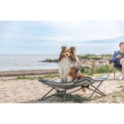 Thumbnail 10: TRIXIE Camping-Bett für Hunde 88 × 32 × 88 cm / Dunkelgrau / Petrol