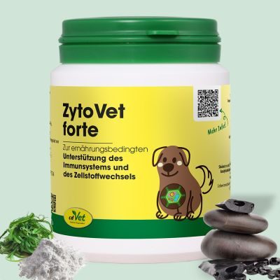 Thumbnail 2: cdVet ZytoVet forte 150 g – Natürliche Ergänzung für Zellstoffwechsel & Immunsystem