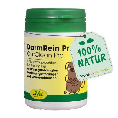cdVet DarmRein Pro 40 g – Natürliche Darmreinigung für Hunde, Katzen & Heimtiere