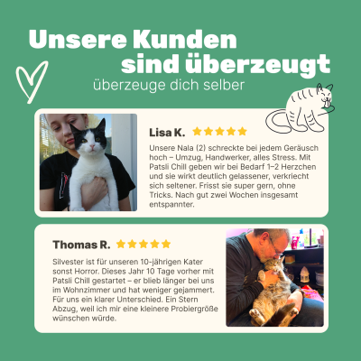 Thumbnail 2: Patsli Ergänzungsfuttermittel zur Unterstützung von Entspannung und emotionaler Balance bei Katzen in stressigen Situationen