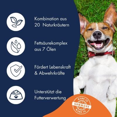 Thumbnail 6: Dr.Clauder’s Intestinal Complex20 - Kräuteröl 250ml