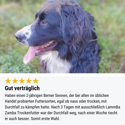 Thumbnail 9: Tales & Tails LammBa Zamba! Softtrockenfutter - 8 kg (2x4kg)