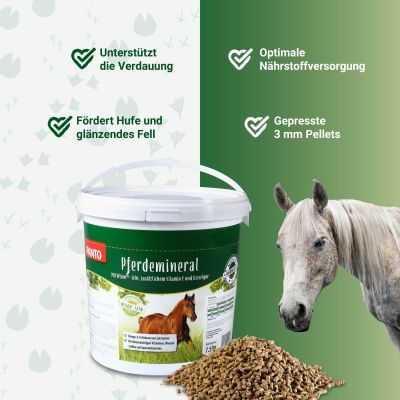 Thumbnail 2: PANTO Pferdemineral mit Wisan-Lein 7,5kg