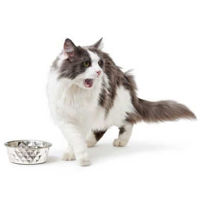 Thumbnail 5: HUNTER Edelstahlnapf Namy XXXL (3800 ml)