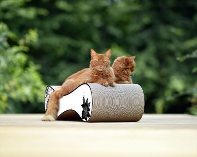 Thumbnail 2: cat-on LE VER L Design Kratzmöbel, weiß, schwarze Blumen (000c)