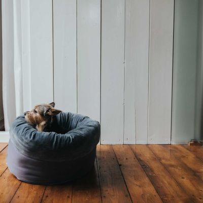 Thumbnail 2: HUNTER Hunde- und Katzenschlafplatz Miranda Ø 50 cm, anthrazit