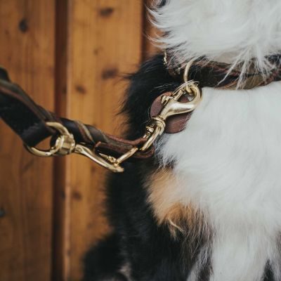 Thumbnail 11: HUNTER Verstellbare Führleine Solid Education Duo 20/200, dunkelbraun/oliv