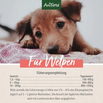 AniForte Nassfutter JuniorMenue – "Feines Rind mit Süßkartoffeln"