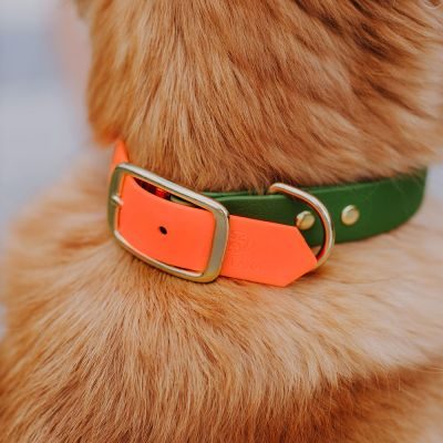 Thumbnail 5: Hey Lana Hundehalsband Outdoor SPORT – Wasserfest Neonorange / Grün / S/32-39