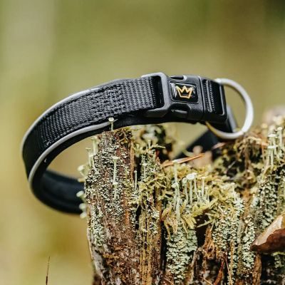 Thumbnail 4: Rudelkönig Hundehalsband Paola reflektierend, Robustes Hunde Halsband