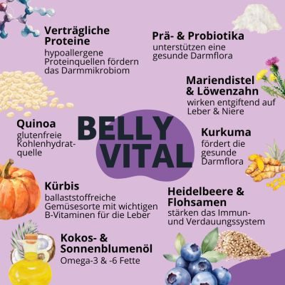 Thumbnail 7: BugBell Trockenfutter mit Insekten für Magen & Darm