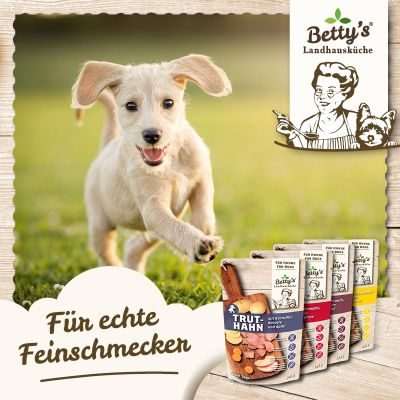 Thumbnail 4: Betty's Landhausküche Nassfutter für Hunde mit Huhn und Süßkartoffel 20x 125g im Frischebeutel
