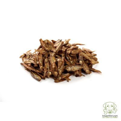 kauartikel.com Hering - Hunde-Kauartikel - Hunde-Snack - Kausnack - Fisch-Leckerli