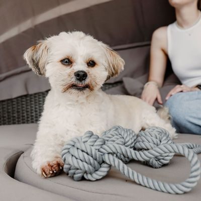 Thumbnail 3: KESSI Hundespielzeug KESSI Ball mit Handschlaufe Ø 6,5 cm (21 cm Gesamtlänge), grau/braun