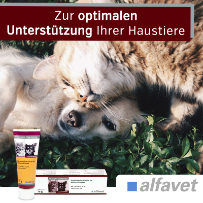 Thumbnail 2: alfavet ReConvales Päppelpaste Ergänzungsfuttermittel für kleine Hunde und Katzen bei Untergewicht 75 g