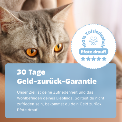 Thumbnail 4: Pezz Katzen Durchfalltest | Durchfallerreger testen, richtig behandeln