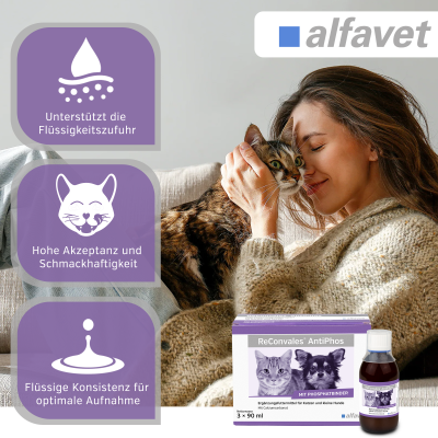 Thumbnail 4: alfavet ReConvales AntiPhos 3 x 90 ml