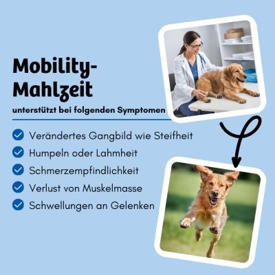 Thumbnail 5: BugBell Trockenfutter mit Insekten bei Arthrose