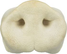 TRIXIE Schweinenase, getrocknet