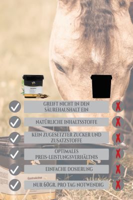 Thumbnail 3: Equanis GastroActive – Magen Pferd