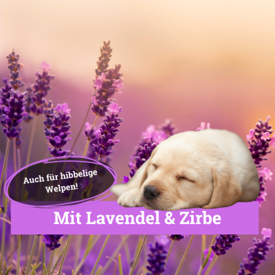 Thumbnail 2: BeG Buddy Umgebungsspray Relax Hunde / Katzen