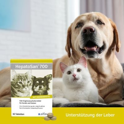 Thumbnail 2: alfavet HepatoSan 700 30 Tabl.