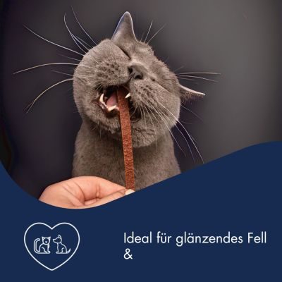 Thumbnail 7: Dr.Clauder’s Dr.Clauder´s Stripes Snack Pferd Small 80g