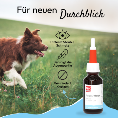 Thumbnail 5: PHA PetVet - PHA AugenPflege für Hunde u. Katzen 20 ml - Sanfte Reinigung & Pflege empfindlicher Augen, gegen Verkrustungen, Kratzen, Tränenstein & Reizungen