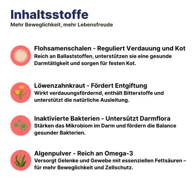 Thumbnail 8: Patsli Katze hat Durchfall? Präbiotische Snacks für gesunde Darmflora