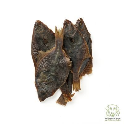 Thumbnail 2: kauartikel.com Flunder - Hunde-Kauartikel - Hunde-Snack - Kausnack - Fisch-Leckerli