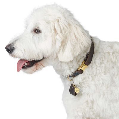 Thumbnail 5: HUNTER Halsung Sansibar L, dunkelbraun