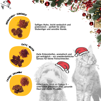Thumbnail 4: Dogs'n Tiger Adventsbundle Hund & Katze 2024, Adventskalender, Weihnachtskalender Hund, Katzen Weihnachtskalender, 2 tlg.