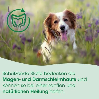 Thumbnail 6: cdVet Magenschutz 400 g – Natürliche Unterstützung für Magen und Schleimhäute