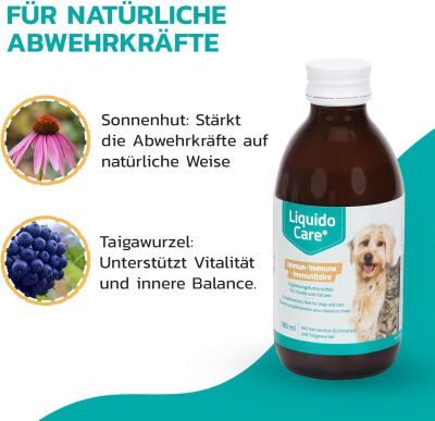 Thumbnail 4: LiquidoCare Tonikum zur Unterstützung des Immunsystems
