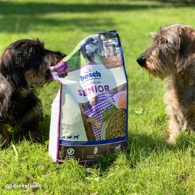 Thumbnail 5: bosch Tiernahrung HPC Senior Hundefutter – weizenfrei & gelenkschonend – 1kg